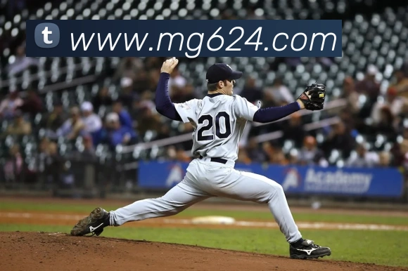 MG冰球突破平台生态图